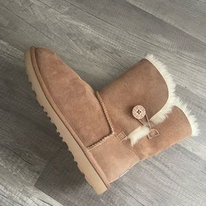 chestnut uggs